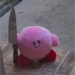 Meet your Posher, Lucas